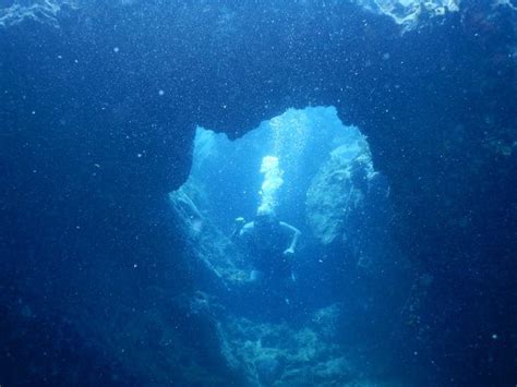 Aqua Action Dive Center (East End) - 2019 What to Know Before You Go ...