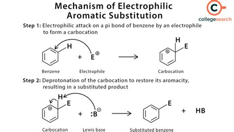Electrophilic Substitution Reaction: Definitions, Examples, Importance ...