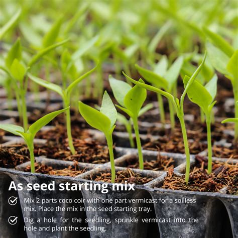 Vermicast Worm Casting Fertilizer – Plant Culture PH