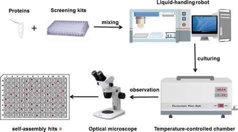 Image result for Protein Crystallization Screening
