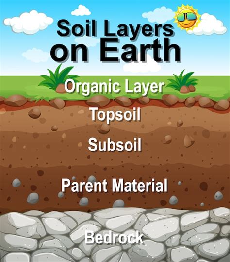 Earth Soil 的图像结果