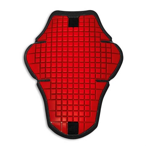 Warrior 2 - Back Protector for prepared leather jackets | Motorcycle ...