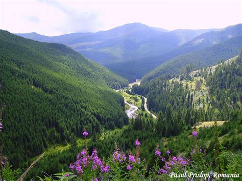 Romania Wallpaper: Pasul Prislop carpathian mountains Romania most ...