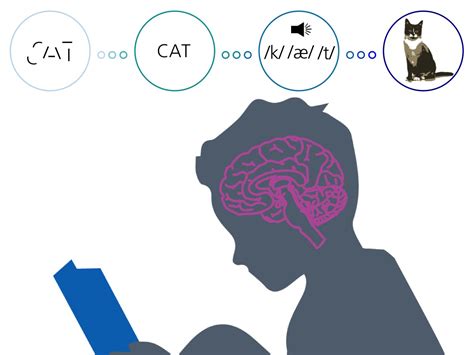 Image result for Reading Process