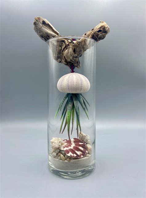 +seahell 的图像结果