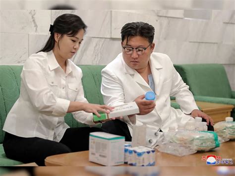 North Korea says hundreds of families ill with intestinal disease