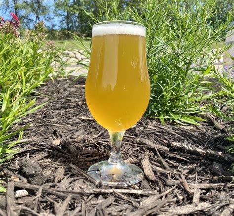 Tripel Point - Trappist Style Tripel - Nine Mile Brewing