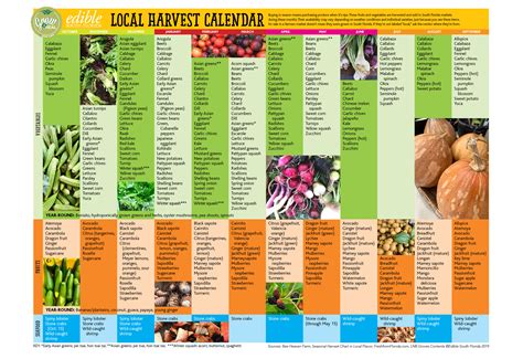 Chart Of Vegetables In Florida