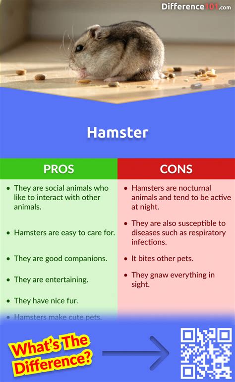 Python vs Hamster 的图像结果