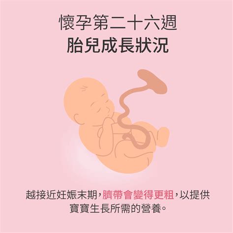 孕媽咪與寶寶全孕期週記:懷孕第26週 - mamaway