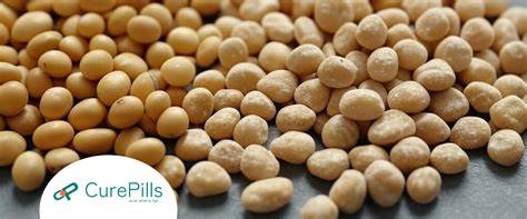 Soybeans vs. Soya Chunks: Which Is Healthier? A Complete Guide to Nutr ...