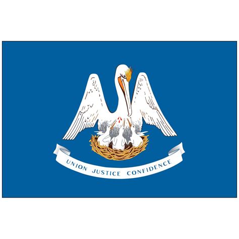 Louisiana State Flag - Flagpole Man