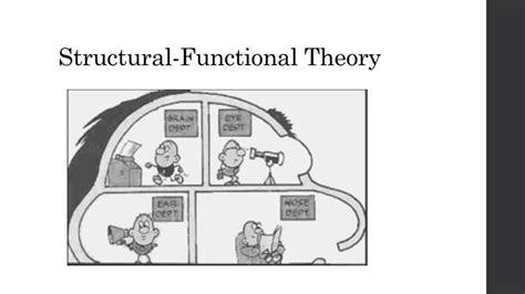 Image result for Structural-Functional Paradigm