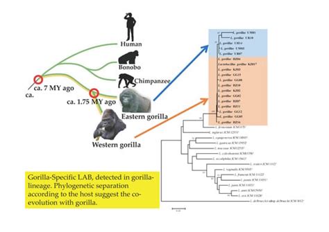 Microorganisms | Special Issue : Wildlife Microbiology