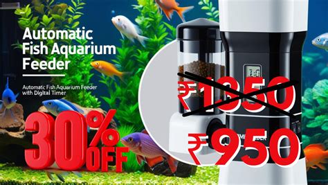 Cloning Aqua Pets & Fish Aquarium Shop in Salem – cloningaquapets