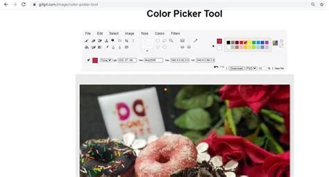10 FREE Image Color Pickers to Pick Color from Image Online[2025]