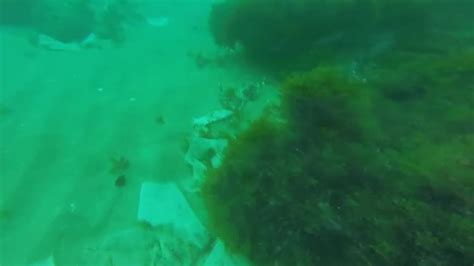 Toallitas higiénicas ensucian la costa de Marbella | El Correo