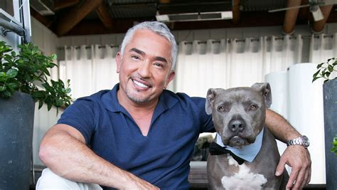 'Dog Whisperer' Cesar Millan investigated over animal cruelty complaints