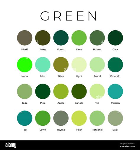 Jade green colour Stock Vector Images - Alamy