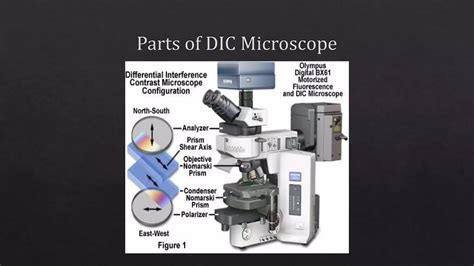 Image result for Interference Microscope