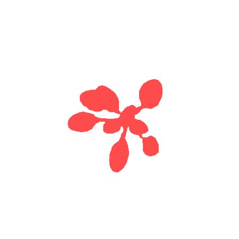 Plant Growth Segmentation - Dataset Ninja