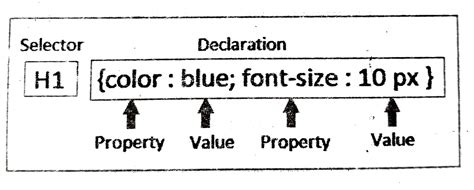 Image result for Computer Science Class 12 HTML Program Output