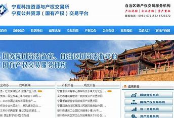 宁夏网站建站公司 的图像结果
