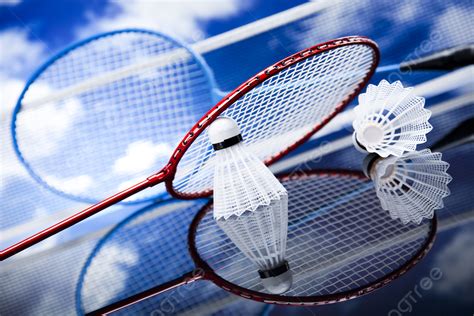 Badminton Theme 的图像结果