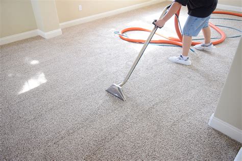 Steam Clean Carpets Brisbane at Bruce Walker blog
