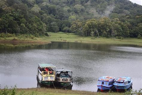 Periyar National Park (Thekkady) - What to Know Before You Go (with ...