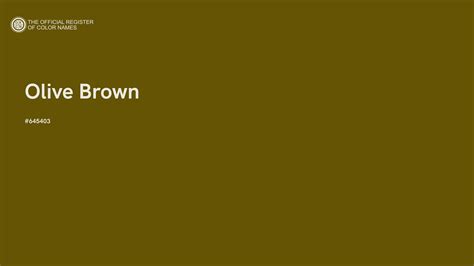 Olive Brown color - #645403 - The Official Register of Color Names