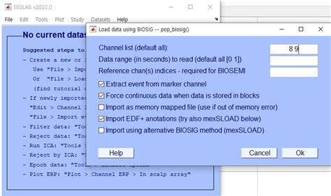 Image result for How to Manually Code in EEGLAB