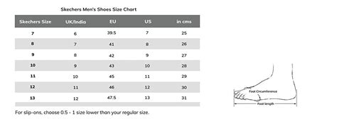 Buy Skechers-TERRABITE - TRAILBORN at Amazon.in