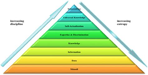 Image result for Pyramid of Knowledge
