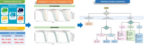 Population Pharmacokinetics and Dose Optimization of Ceftazidime and ...