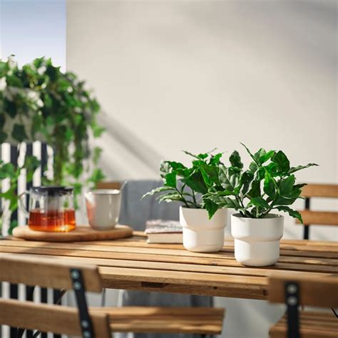 FEJKA artificial potted plant, in/outdoor/sweet bay, 9 cm (3 ½") - IKEA