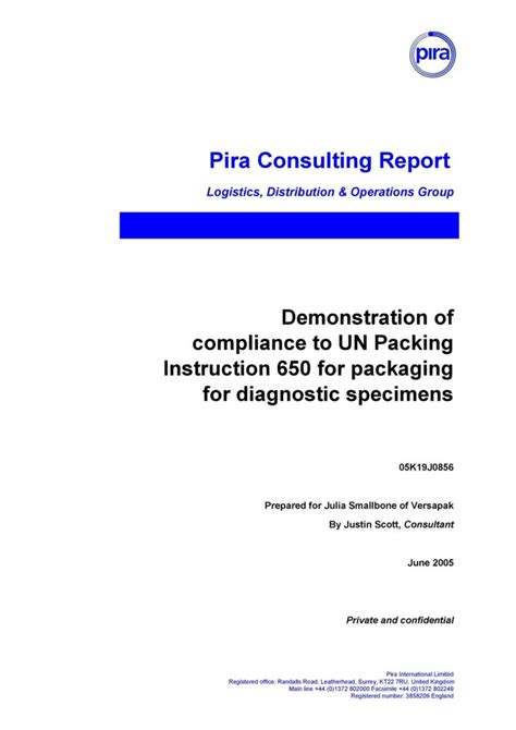 Consulting Paper Example 的图像结果