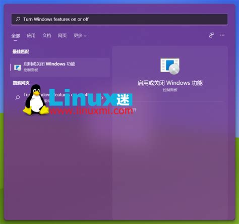 Windows 11 Running Virtual Machine Using openSUSE Linux 的图像结果