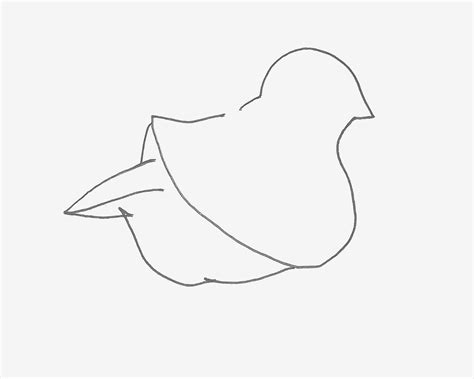 5-8岁儿童画教程 小鸽子怎么画（儿童绘画分为几个时期） - 有点网 - 好手艺