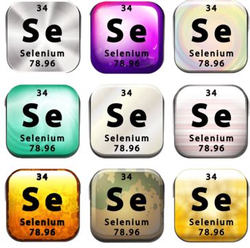 Image result for Selenium Vector Png