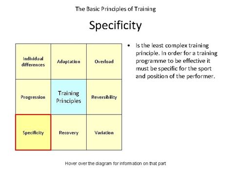 Image result for Principles of Specificity Training