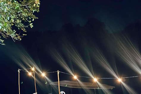 IWAHIG FIREFLY WATCHING PUERTO PRINCESA (2025) All You Need to Know ...