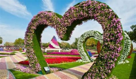 第23届中国国际花卉园艺展览会开幕 园林资讯