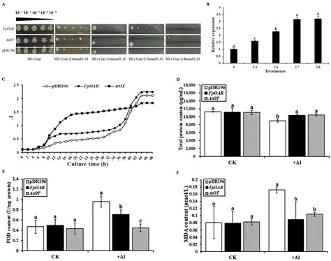 An Oxalate Transporter Gene, AtOT, Enhances Aluminum Tolerance in ...