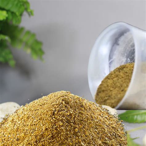 Bone Meal Powder – Lalit Enterprise