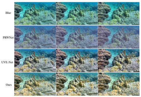 DUVR-Net: A Dual-Path Underwater Video Restoration Network Based on ...