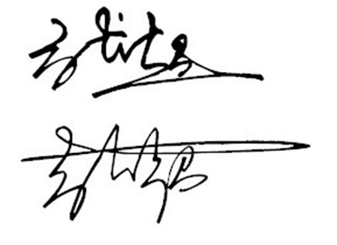 用艺术签名写张超这两个字怎么写好看？ 要要艺术签名有图片的。。。_百度知道