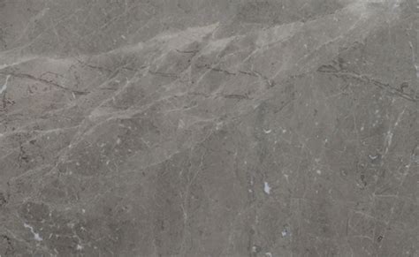 Grey Marble Stone In Delhi, Grey Marble Showroom In Delhi - Marble City