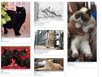 Wikidata SPARQL 的图像结果