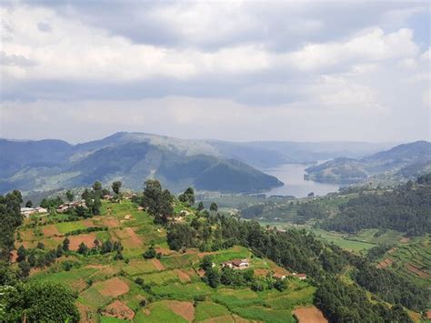 Katotours (Kisoro) - All You Need to Know BEFORE You Go